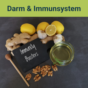 Dam und Immunsystem Nahrungsmittel wie z.B. Ingwer, Zitrone, Knoblauch, Honig und Walnusse neber einem Holzbrett auf dem Tisch